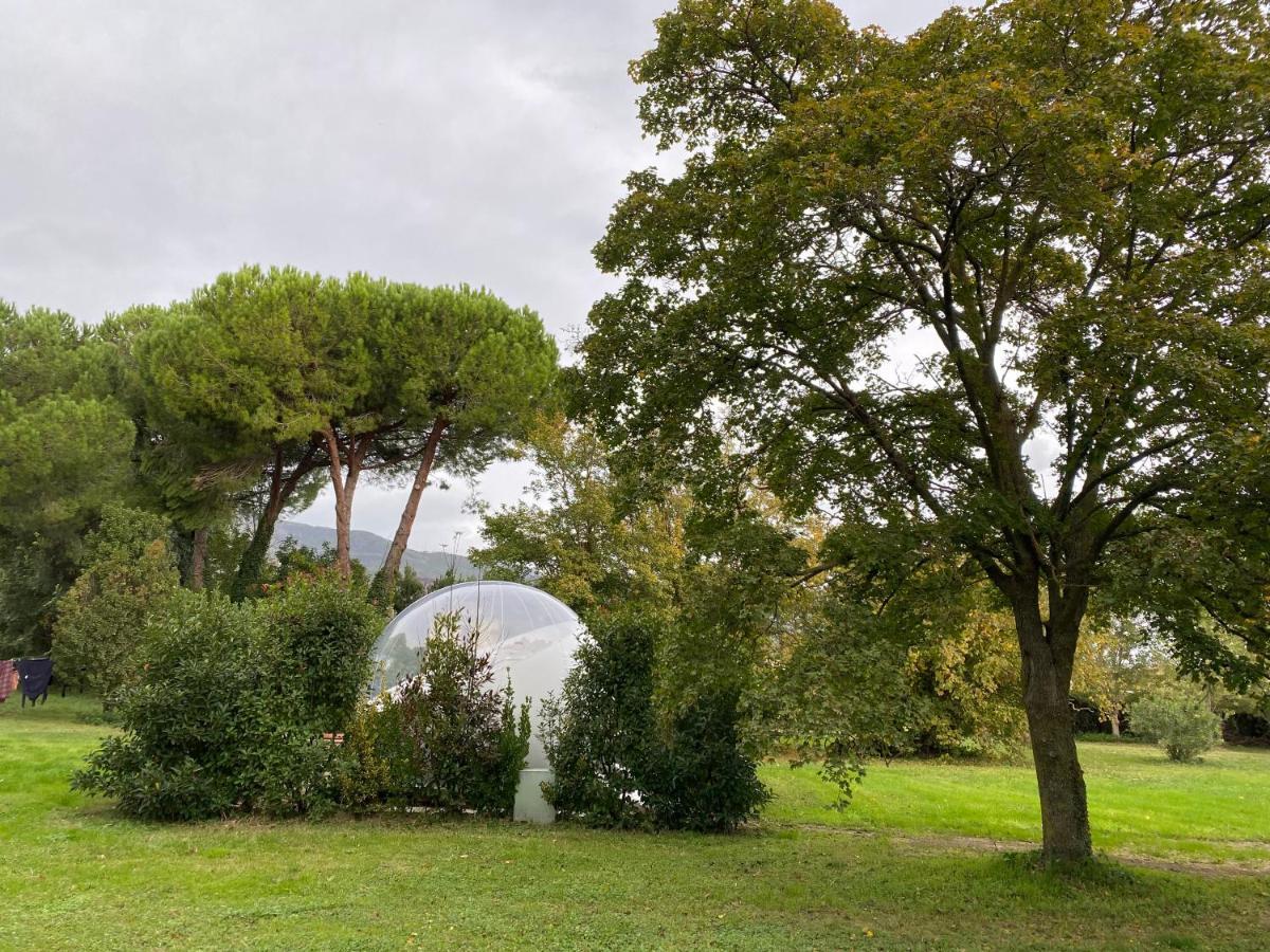 Bubble Under The Tuscan Stars Bubble Luxe tent