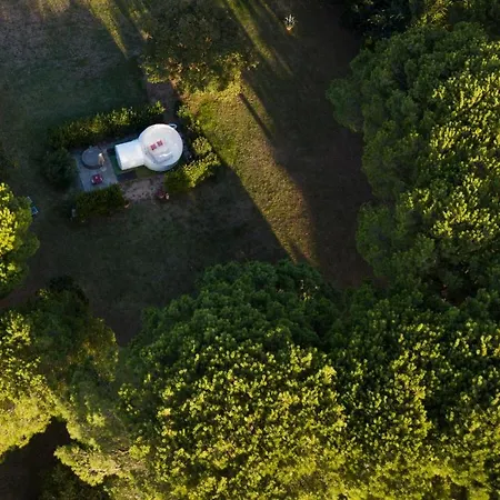 Bubble Room Under The Tuscan Stars Bubble Vicopisano Exterior foto