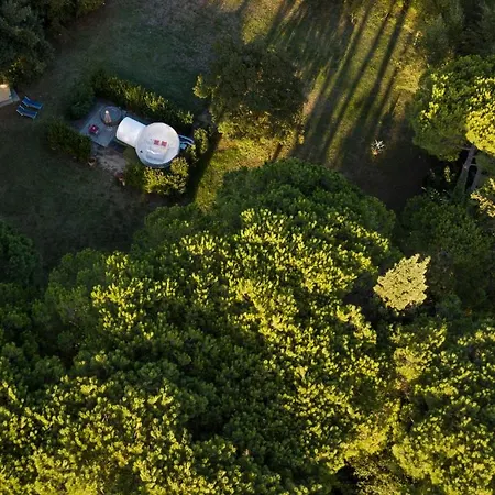 Bubble Room Under The Tuscan Stars Bubble Vicopisano Exterior foto